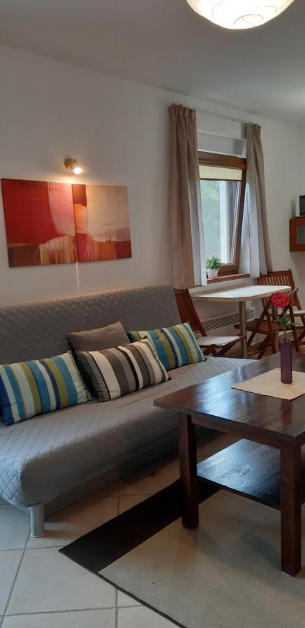 Apartamenty Kalinowa 罗威 外观 照片